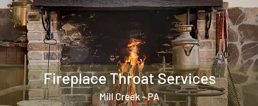 Fireplace Throat Services Mill Creek - PA