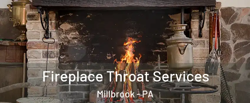 Fireplace Throat Services Millbrook - PA
