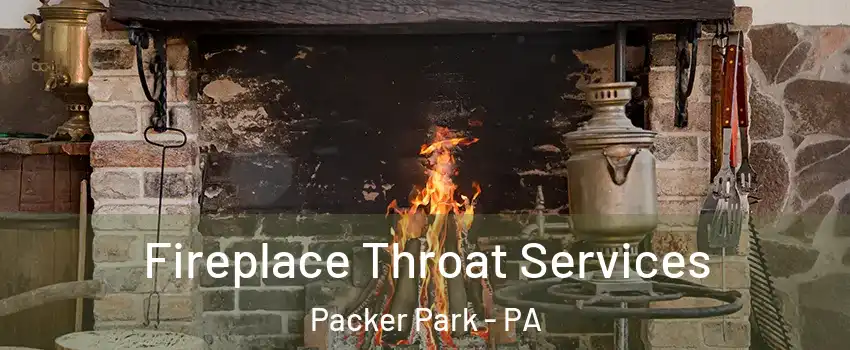 Fireplace Throat Services Packer Park - PA