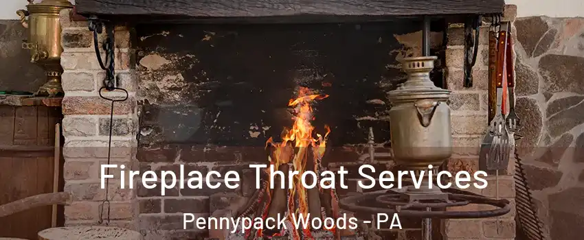 Fireplace Throat Services Pennypack Woods - PA