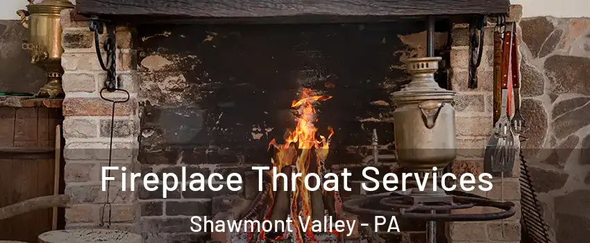 Fireplace Throat Services Shawmont Valley - PA