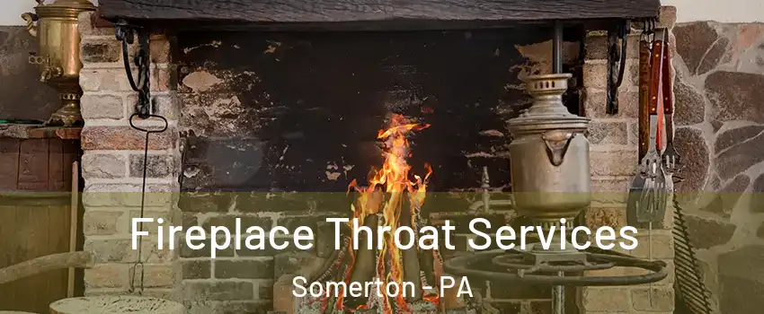 Fireplace Throat Services Somerton - PA