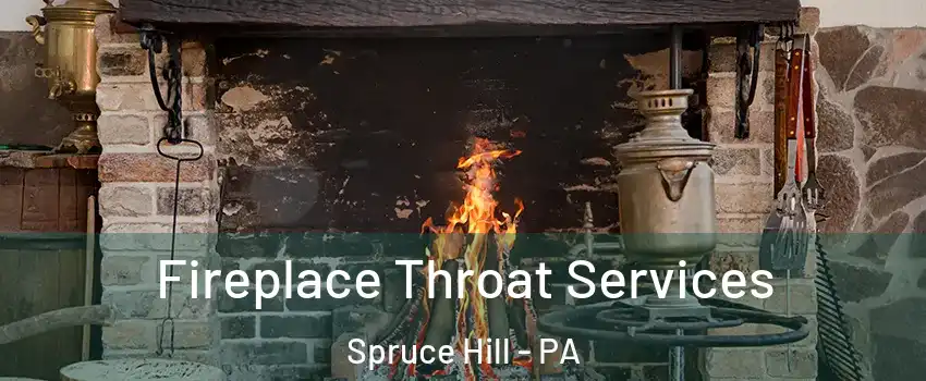 Fireplace Throat Services Spruce Hill - PA