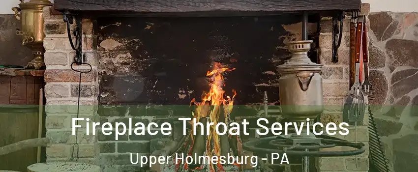 Fireplace Throat Services Upper Holmesburg - PA
