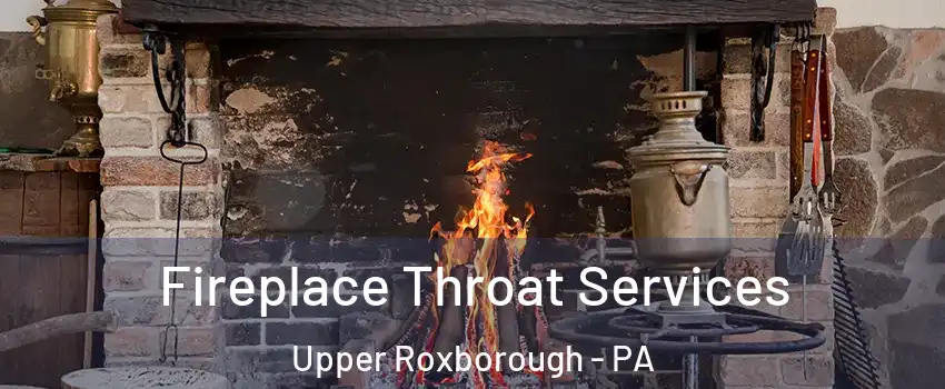 Fireplace Throat Services Upper Roxborough - PA