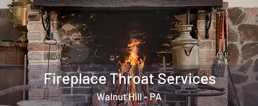 Fireplace Throat Services Walnut Hill - PA