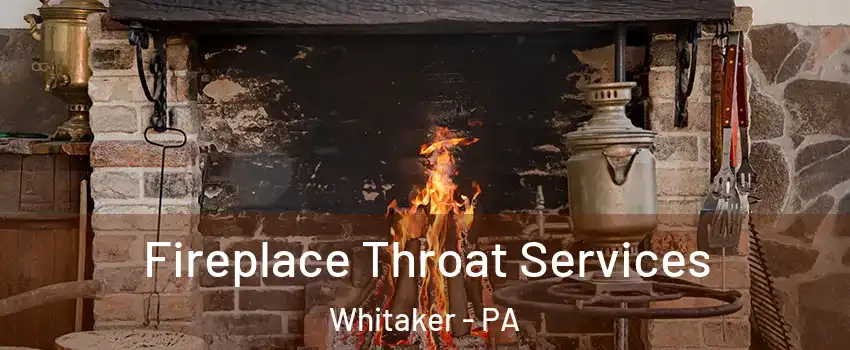 Fireplace Throat Services Whitaker - PA