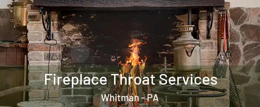 Fireplace Throat Services Whitman - PA