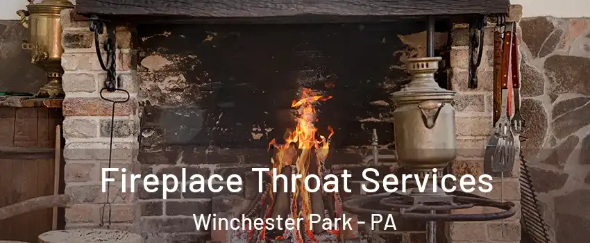 Fireplace Throat Services Winchester Park - PA