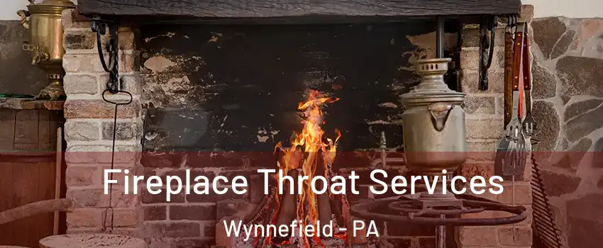 Fireplace Throat Services Wynnefield - PA