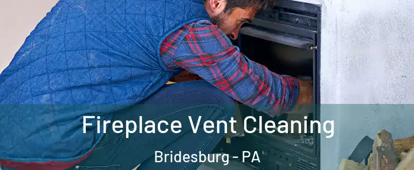 Fireplace Vent Cleaning Bridesburg - PA