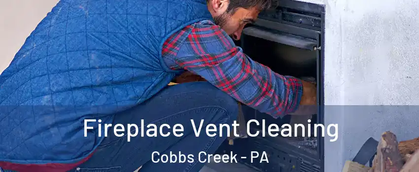 Fireplace Vent Cleaning Cobbs Creek - PA