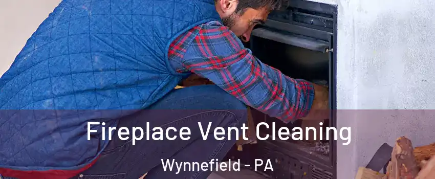 Fireplace Vent Cleaning Wynnefield - PA
