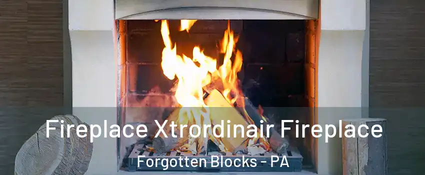 Fireplace Xtrordinair Fireplace Forgotten Blocks - PA