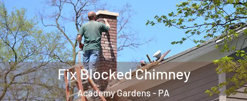 Fix Blocked Chimney Academy Gardens - PA