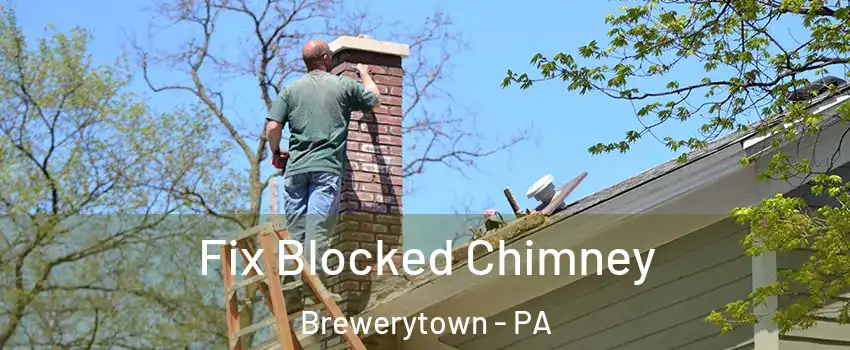 Fix Blocked Chimney Brewerytown - PA