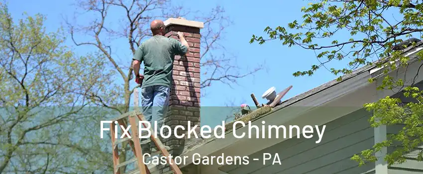 Fix Blocked Chimney Castor Gardens - PA