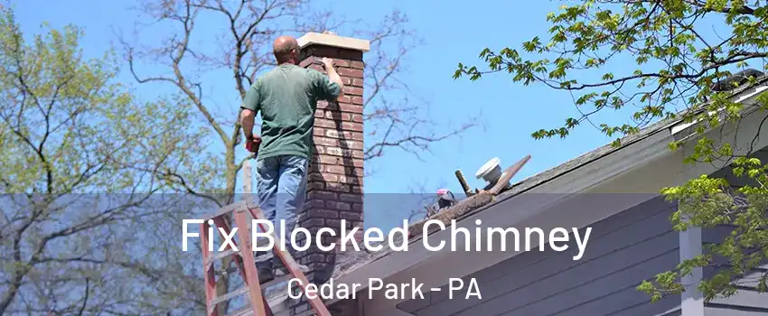 Fix Blocked Chimney Cedar Park - PA