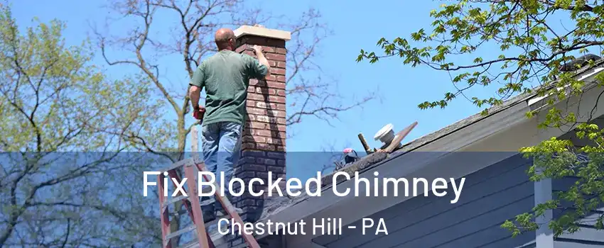 Fix Blocked Chimney Chestnut Hill - PA