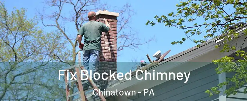 Fix Blocked Chimney Chinatown - PA
