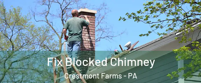 Fix Blocked Chimney Crestmont Farms - PA