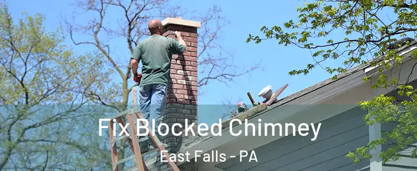 Fix Blocked Chimney East Falls - PA