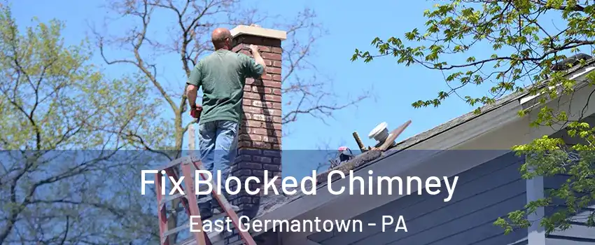Fix Blocked Chimney East Germantown - PA