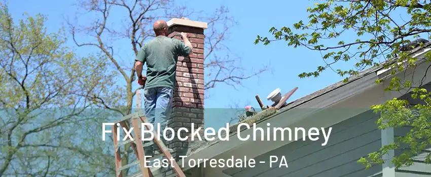 Fix Blocked Chimney East Torresdale - PA