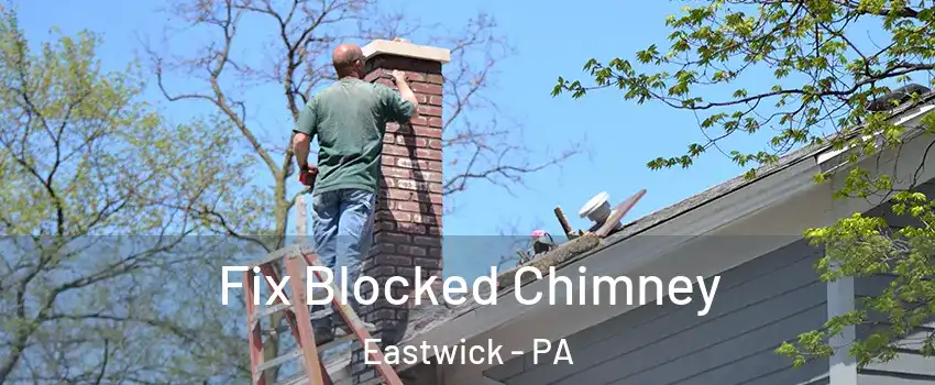 Fix Blocked Chimney Eastwick - PA