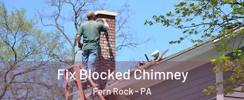 Fix Blocked Chimney Fern Rock - PA