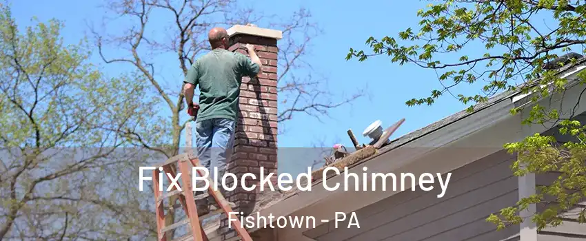 Fix Blocked Chimney Fishtown - PA
