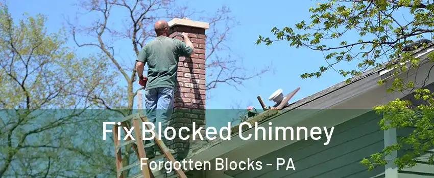 Fix Blocked Chimney Forgotten Blocks - PA
