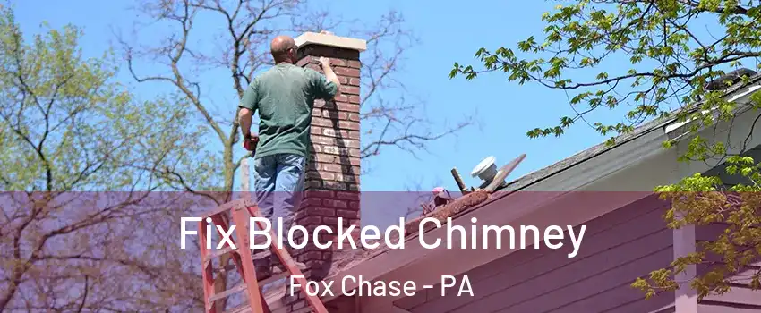 Fix Blocked Chimney Fox Chase - PA