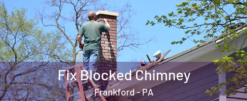 Fix Blocked Chimney Frankford - PA