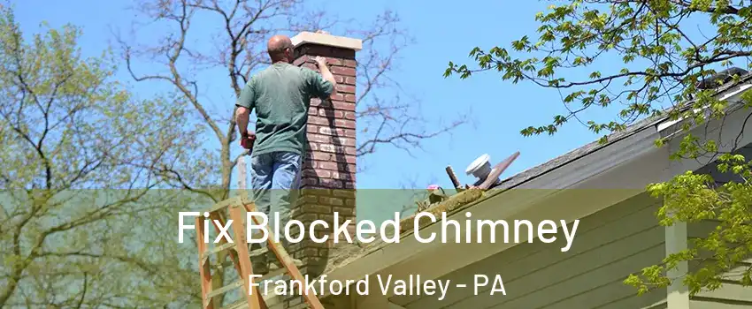 Fix Blocked Chimney Frankford Valley - PA