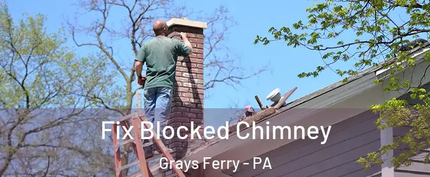 Fix Blocked Chimney Grays Ferry - PA