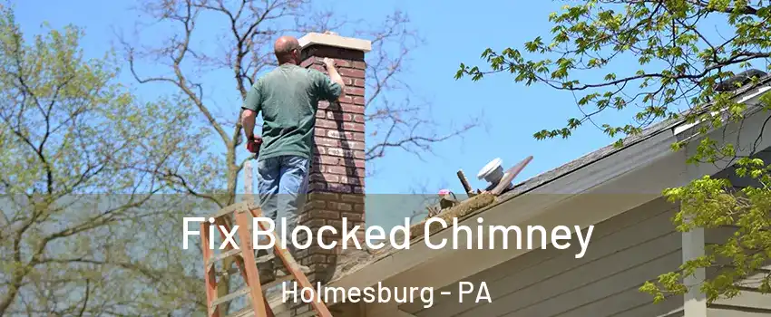 Fix Blocked Chimney Holmesburg - PA