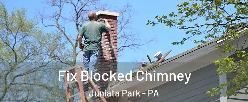 Fix Blocked Chimney Juniata Park - PA