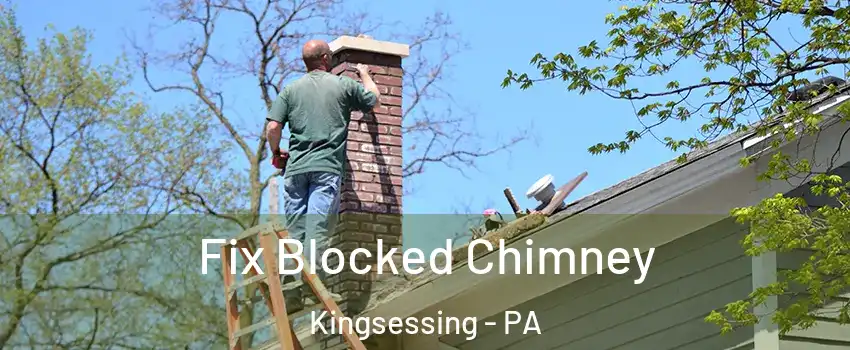 Fix Blocked Chimney Kingsessing - PA
