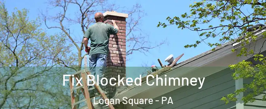 Fix Blocked Chimney Logan Square - PA