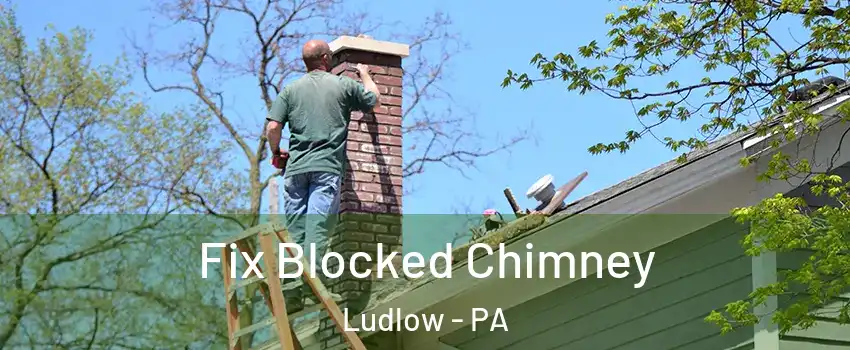 Fix Blocked Chimney Ludlow - PA