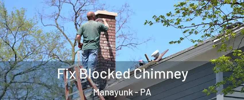 Fix Blocked Chimney Manayunk - PA