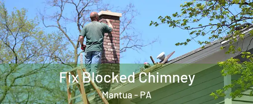 Fix Blocked Chimney Mantua - PA