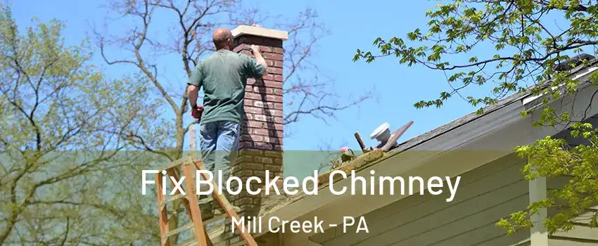 Fix Blocked Chimney Mill Creek - PA