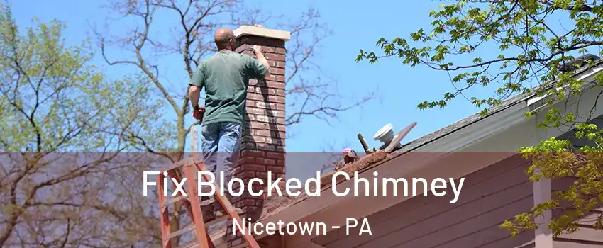 Fix Blocked Chimney Nicetown - PA