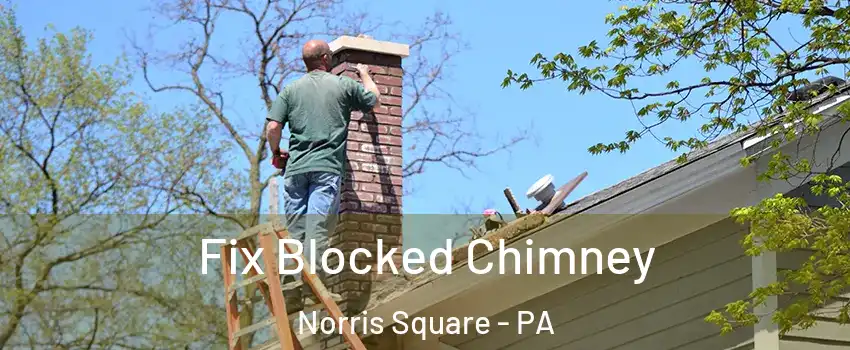 Fix Blocked Chimney Norris Square - PA