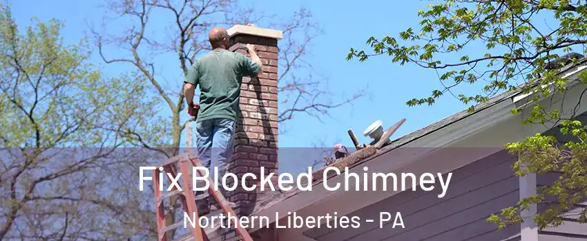 Fix Blocked Chimney Northern Liberties - PA