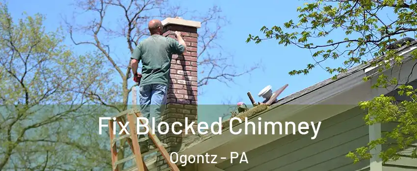 Fix Blocked Chimney Ogontz - PA