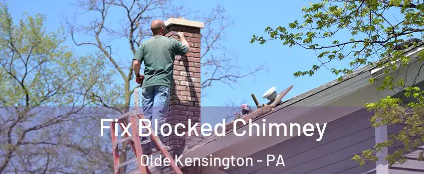 Fix Blocked Chimney Olde Kensington - PA