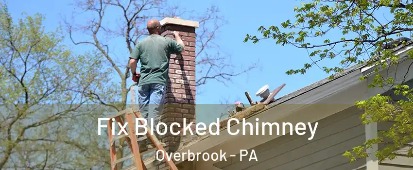 Fix Blocked Chimney Overbrook - PA